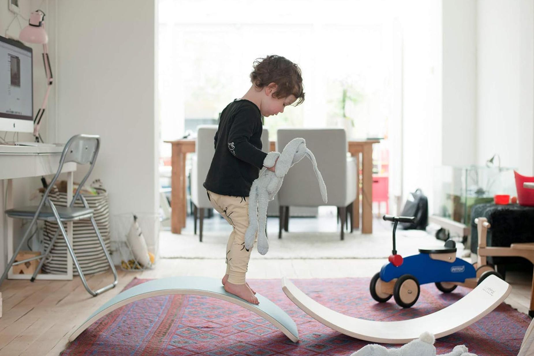toys Expat Premium Rental toys